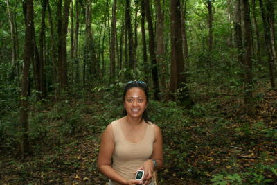 Man-made Forest Bohol